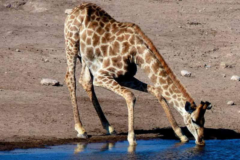 Namibia